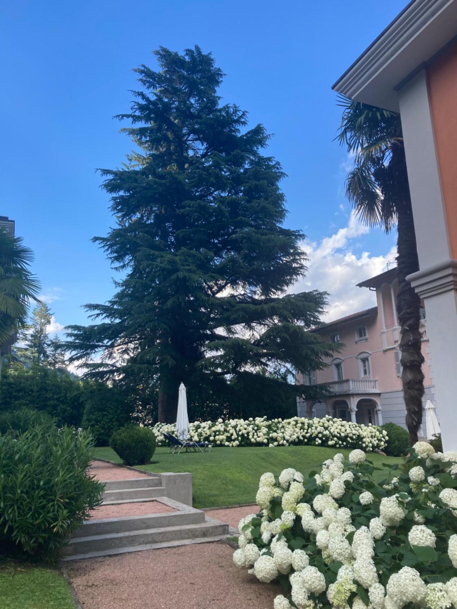 Ville Lago Lugano Porto Ceresio Eksteriør bilde